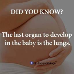 Amazing Pregnancy Facts you should know86415_n