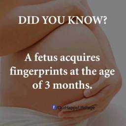 Amazing Pregnancy Facts you should know643217_n