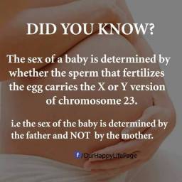 Amazing Pregnancy Facts you should know750087236_n